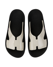 Load image into Gallery viewer, ZAXY DAILY INF