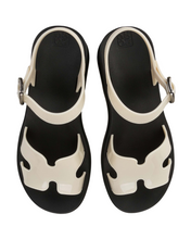 Load image into Gallery viewer, ZAXY DAILY SAND AD