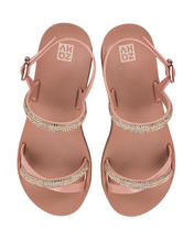 Load image into Gallery viewer, ZAXY INTENSE SAND AD