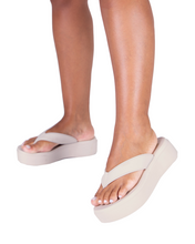 Load image into Gallery viewer, ZAXY LIT TAM AD