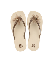 Load image into Gallery viewer, ZAXY SUMMER + NECESSAIRE AD