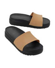 Load image into Gallery viewer, ZAXY UP AD