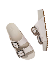 Load image into Gallery viewer, ZAXY PARTNER III AD